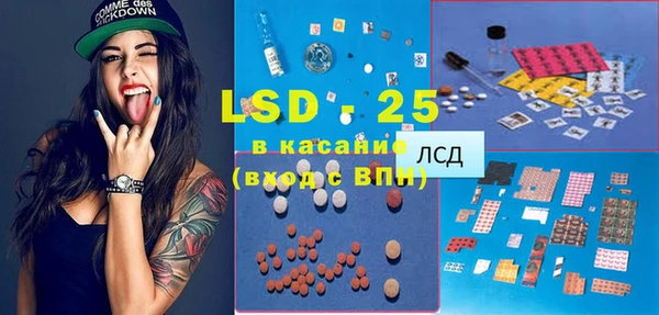 шишки Алзамай