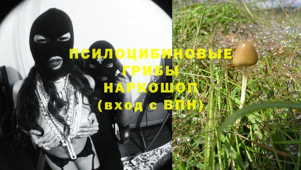 MESCALINE Аркадак