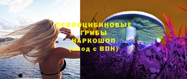 шишки Алзамай