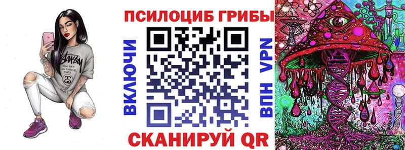 Псилоцибиновые грибы Cubensis  цены   Калязин 